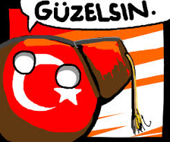 Turkey ball at marianos : Turkeyball Polandball Wiki Fandom