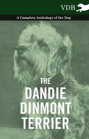 A dandie dinmont terrier is a small scottish dog breed in the terrier family. The Dandie Dinmont Terrier A Complete Anthology Of The Dog Von Various Englisches Buch Bucher De