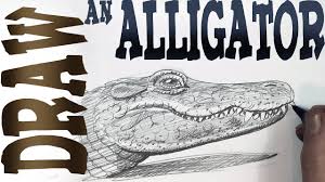 We did not find results for: How To Draw An Alligator Intermediate Spoken Tutorial Youtube
