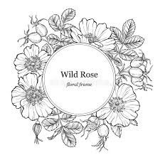 Round Art Border Stock Illustrations 77 900 Round Art Border Stock Illustrations Vectors Clipart Dreamstime 30 vector line art illustrations with detailed patterns & geometric shapes. round art border stock illustrations