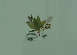Encuentre aquí noticias sobre omar murillo: Gloria Estefan Projects Photos Videos Logos Illustrations And Branding On Behance
