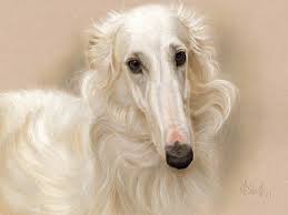 The goals and purposes of this breed standard include: The Borzoi S Fifth Gear