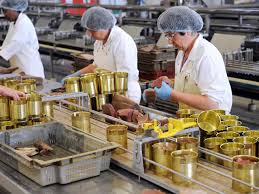 Serviciul tau de anunturi gratuite rapid, eficient si simplu. Arhive Fabrica De Conserve Job Europa