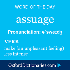 Assuage Verb Make An Unpleasant Feeling Less Intense Word Of The Day For 15 November 2014 Wotd Wordoftheday Weird Words Uncommon Words Vocabulary Words