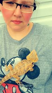 Bearded Dragon Outdoor Care and Experiences