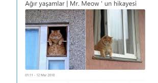 Murat Genc Adli Kullanicinin Komik Seyler Panosundaki Pin 2020 Komik Seyler Komik Capsler Komik
