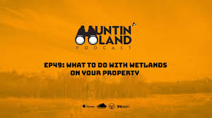 Time for a reality check. What To Do With Wetlands On Your Property Great Days Outdoors