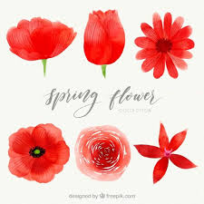 Download Watercolor Red Spring Flower Pack For Free In 2020 Color Pencil Illustration Artsy Background Floral Illustrations