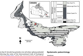 Map And Stratigraphic Chart Of Prince Edward Island