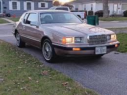 Image result for Sungold 1986 GM