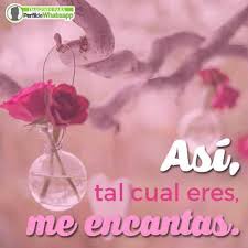 Roberto roena como te hago entender. 854 Imagenes De Amor Con Frases