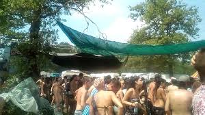 Image result for shockraver