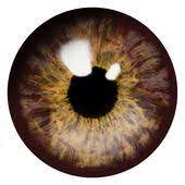Pin By Printer On Blythe Eyes Clipart Blue Background Images Eye Texture