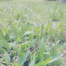 Until then,you won't be able to access things like your news feed or messages. Janice Yoong Home Facebook