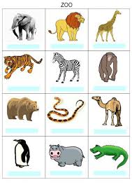 Globalni Cteni Zvrirata V Zoo Zoo Animals List Zoo Animals Zoo Animal Activities