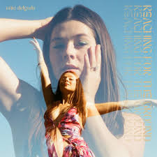 I Don't Wanna Love You