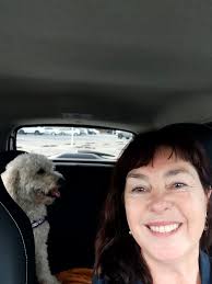 Dog Owners Not Picking Up After Their Dogs