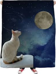 Plus pisica de mare, 20 cm. Top 100 Idei De Nume Pentru Pisici Motani Fete Si Baieti