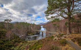 We did not find results for: Wallpaper Landscape Hills Snow Trees Sky River Affric Glen Scotland Clouds Wide Angle Scenic Derekgray 6d Canon 1637x1024 1114900 Hd Wallpapers Wallhere