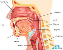 Maybe you would like to learn more about one of these? Do You Suspect To Have Lpr Here Are 10 Symptoms You Might Show