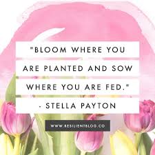 Maybe you would like to learn more about one of these? 50 Quotes About Blooming Like A Flower Resilient