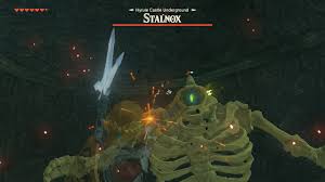 You do not have to complete any particular quest or have fill any prerequisite to get the hylian shield, however, you will need to get to the lockup and defeat the stalnox guarding it to get the shield. How To Get The Hylian Shield The Legend Of Zelda Breath Of The Wild Wiki Guide Ign