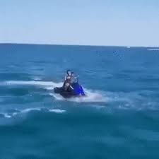 Pin By Live Free And Play Hard On Hahaha Funny Gif Fail Video Fun