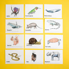 Community contributor can you beat your friends at this quiz? Animal Trivia Questions For Kids