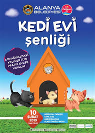 Alanya Belediyesi Kedi Evi Senligi