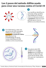 We did not find results for: Covid 19 Los 3 Pasos Del Revolucionario Metodo Arnm Usado Para Crear Vacunas Que Muestran Resultados Eficaces Contra El Coronavirus Bbc News Mundo