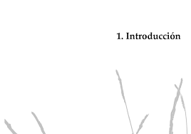 Image result for Eccoptocarpha obconiciventris