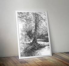 Maybe you would like to learn more about one of these? Katarzyna Kmiecik Artist And Illustrator On Twitter Tree Art Print Black And White Art Prints Wall Art Pencil Drawing Print Realistic Art Top Selling Art Nature Drawing Landscape Print Https T Co F1nbnoj8e2 Art