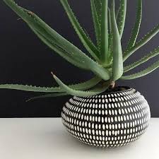 Black And White Flower Pot Design Black And White Pebble Pot White Planters Pots Pot Designs Plants