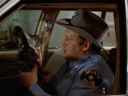 Daivd Hart As Parker Williams In The Heat Of The Night Classic Tv Riding Helmets Heat