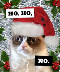 Chronicle Books Bestsellers New Releases Unique Books Gifts Grumpy Cat Christmas Christmas Memes Funny Grumpy Cat
