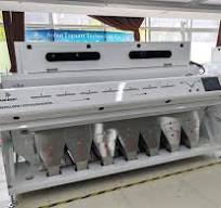High Capacity Coconut Color Sorter Color Sorting Machinery ...