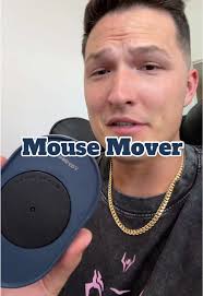 Move Mouse When Pretending to Work