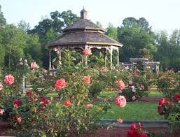 Check spelling or type a new query. Tips And Hints On Landscpaing Your Own Garden Useful Garden Ideas And Tips Rose Garden Design My Secret Garden Beautiful Roses