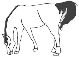 Vorlage Grasendes Pferd Zum Ausdrucken