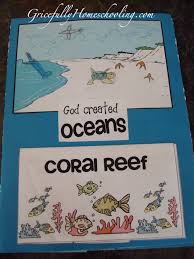 Unit Study Ocean Life With Lapbook Study Unit Ocean Kindergarten Ocean Unit