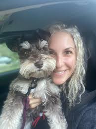 Hi Schnauzer family! I am looking for a female Minature schnauzer to mate  with my 4 year old lovable Bentley, champion breed! We are located in NJ,  but i am willing to
