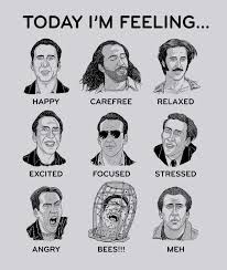 Pin On Funny Pictures