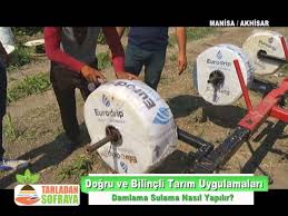 Damlama sulama sistemi nasıl kurulur? Damla Sulama Sistemi Kurulumu Nasil Yapilir Youtube