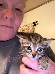 PUTNAM COUNTY WV GOSSIP NEWS AND RUMORS