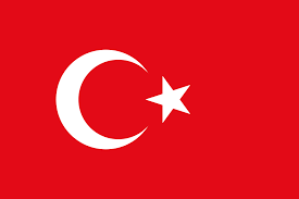 Flag Of Turkey Turkish Flag Turkey Flag Flags Of The World