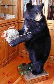 Black Bear Half Mounts Prices Black And Brown Bear Head Mounts For Sale Bills Bear Rugs And Taxidermy Taxidermy Bear Mounts Taxidermy Mounts