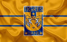 Les infos, chiffres, immobilier, hotels & le mag. Pin On Tigres Campeon