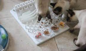 We did not find results for: Cat Nutrition Archives Pet Nurture