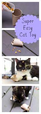 How To Make An Incredibly Simple Diy Cat Puzzle Toy Diy Cat Toys Diy Cat Food Cat Puzzle