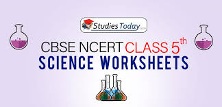 Free printable science worksheets pdf. Worksheets For Class 5 Science